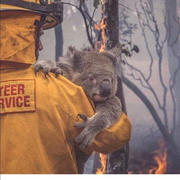 DONATING to Australia Fire - Picture 5 of 7